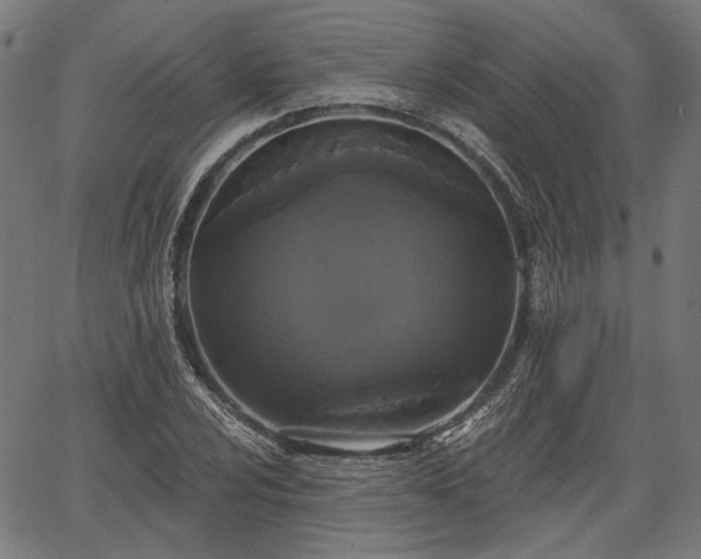 X0000067391024200604031027