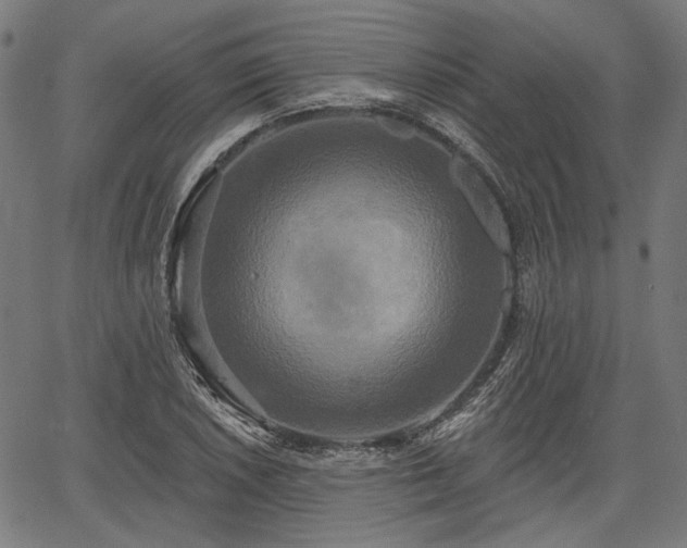 X0000067391026200604031027