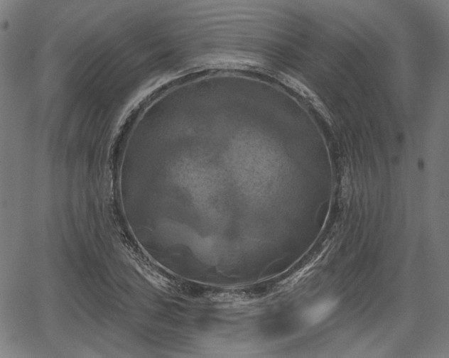 X0000067391027200604031027