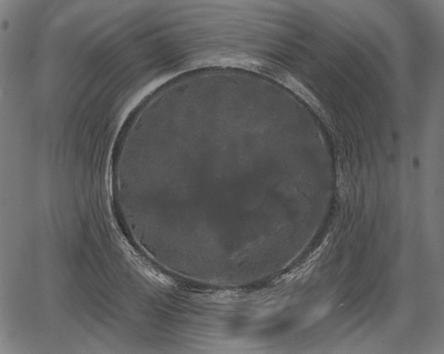 X0000067391028200604031027