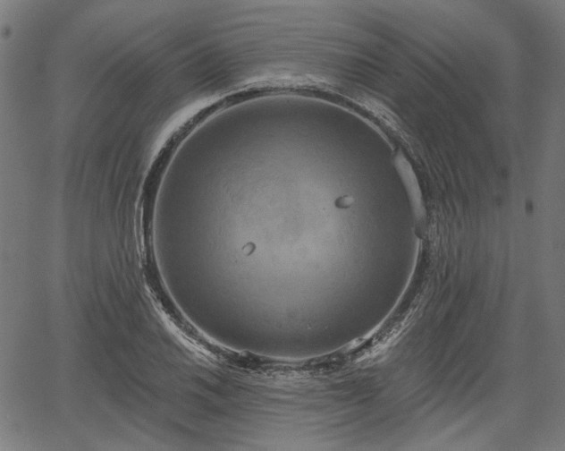 X0000067391030200604031027