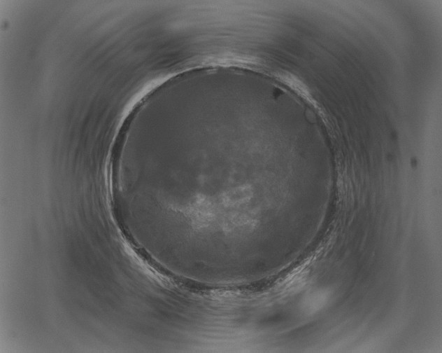 X0000067391032200604031027