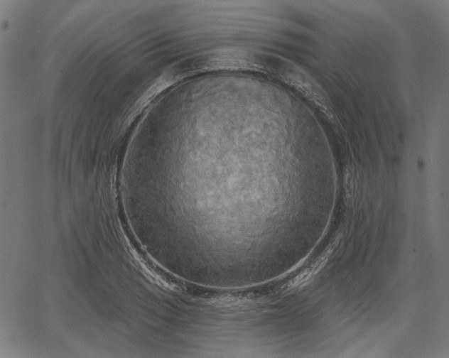 X0000067391033200604031027