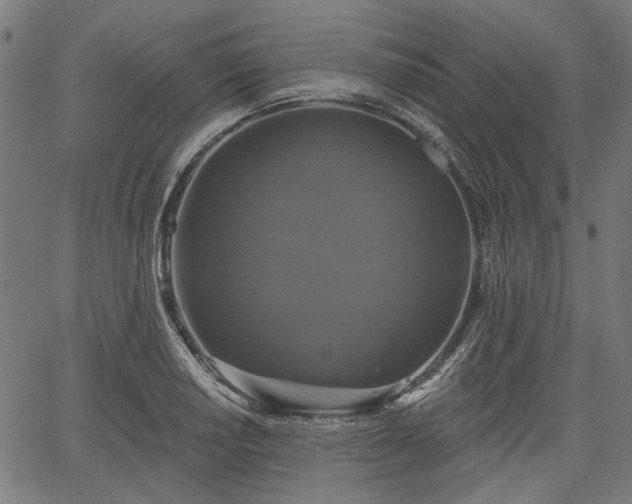 X0000067391034200604031027