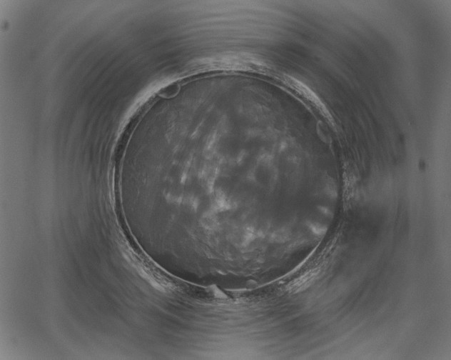 X0000067391035200604031027