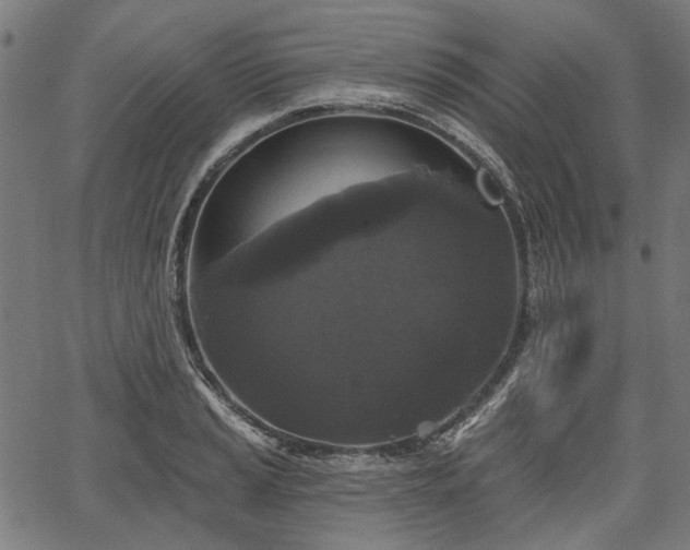 X0000067391037200604031027