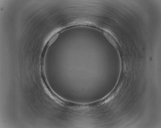 X0000067391038200604031027