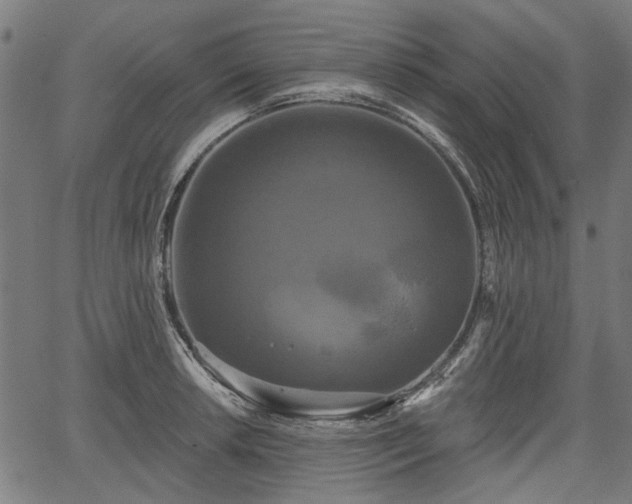 X0000067391042200604031028