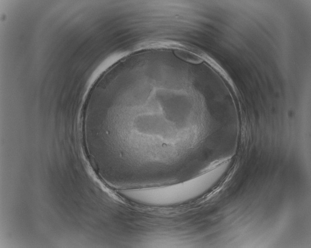 X0000067391053200604031028