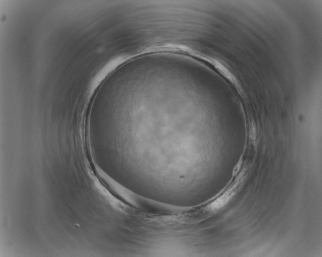 X0000067391054200604031028