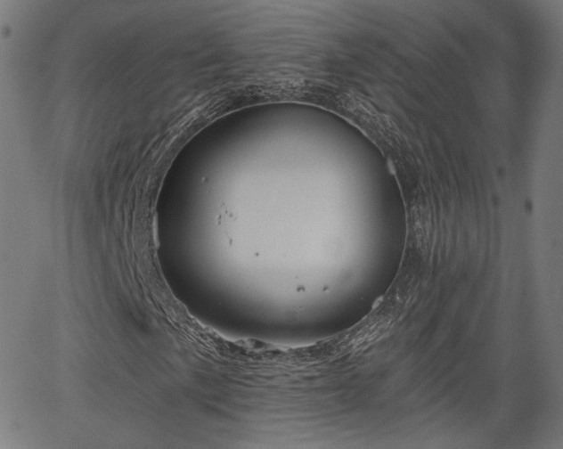 X0000067391057200604031027