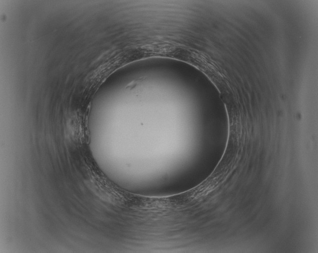 X0000067391058200604031027