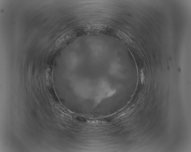 X0000067391059200604031027