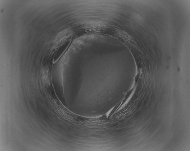 X0000067391060200604031027