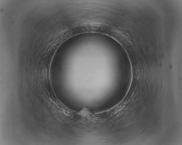 X0000067391061200604031027