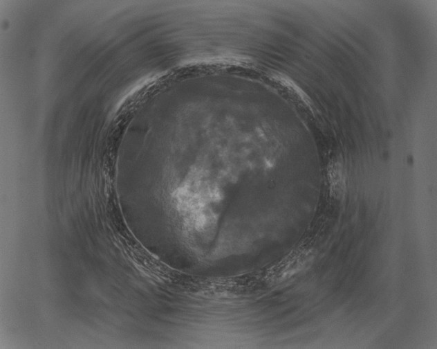 X0000067391064200604031027