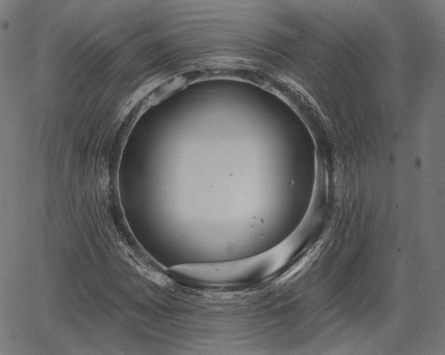 X0000067391065200604031027