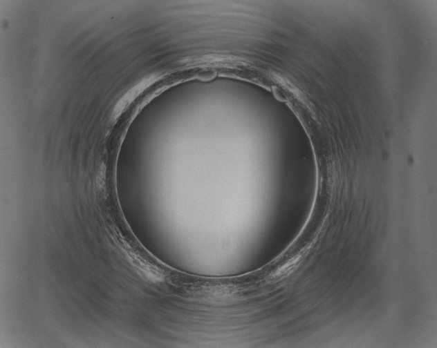 X0000067391066200604031027