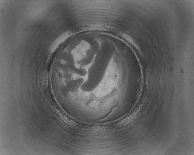 X0000067391067200604031027