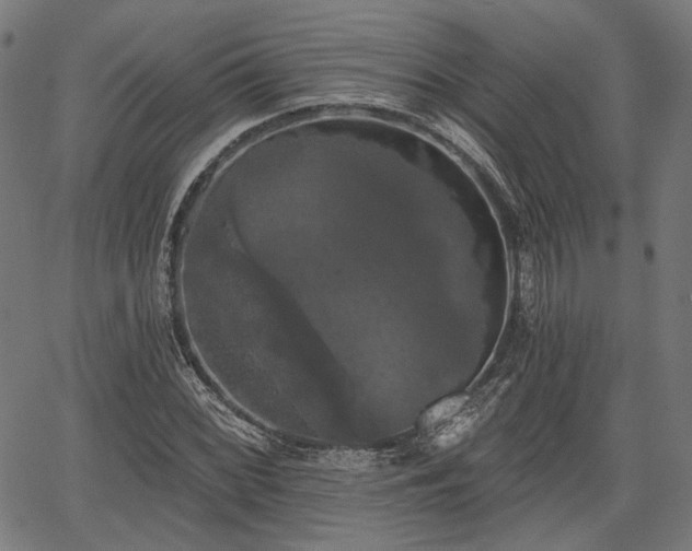 X0000067391068200604031027