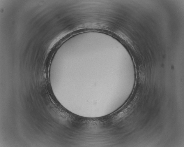 X0000067391070200604031027