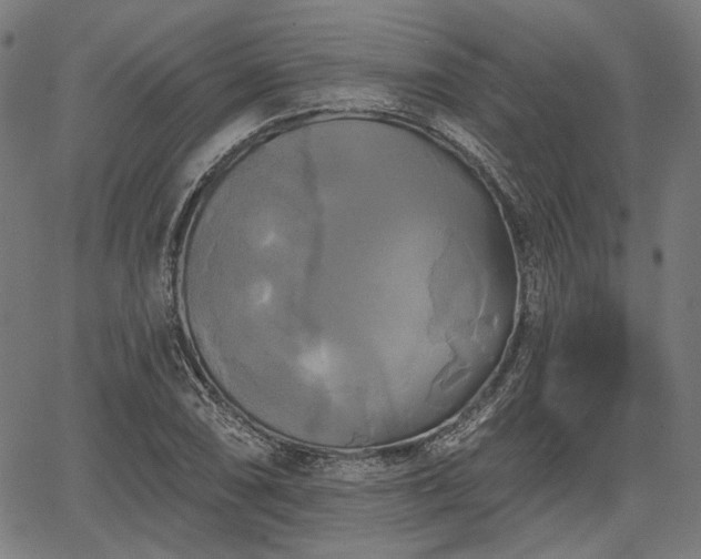 X0000067391074200604031027