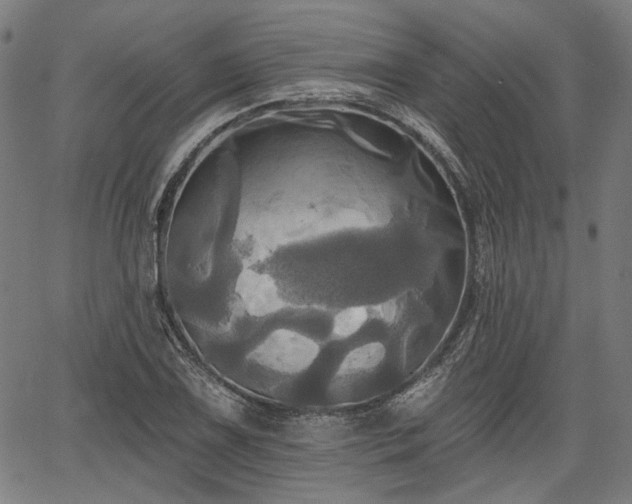 X0000067391075200604031027