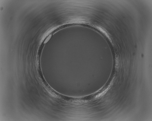 X0000067391077200604031027