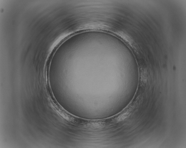 X0000067391078200604031027