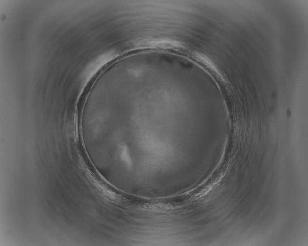 X0000067391079200604031027