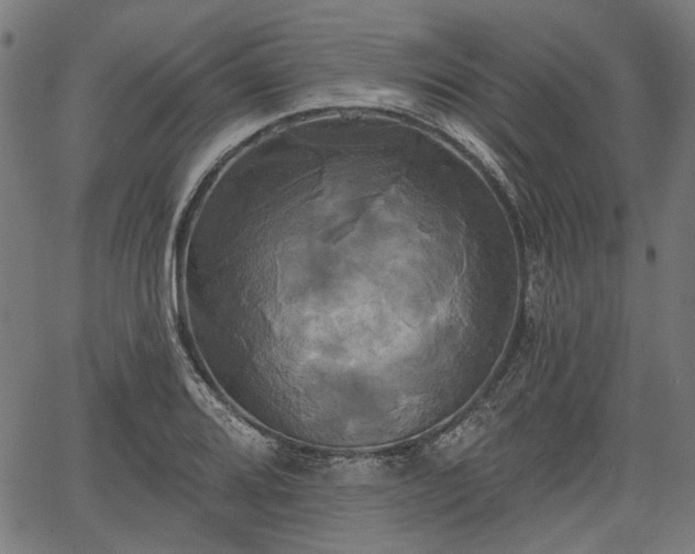 X0000067391080200604031027