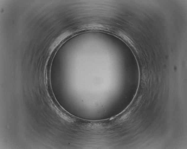 X0000067391082200604031027