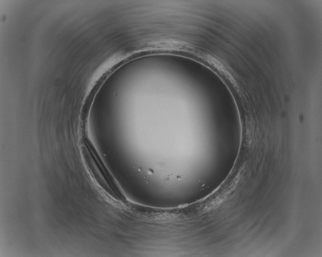 X0000067391085200604031027