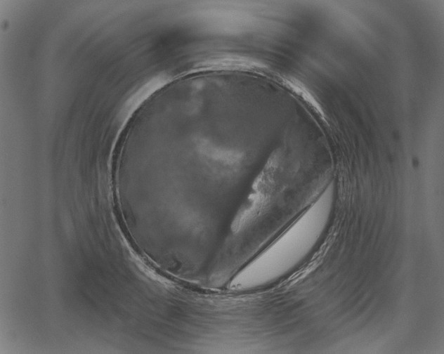 X0000067391087200604031026