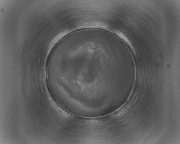 X0000067391088200604031026