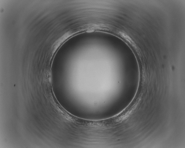 X0000067391089200604031026