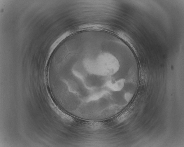 X0000067391090200604031026