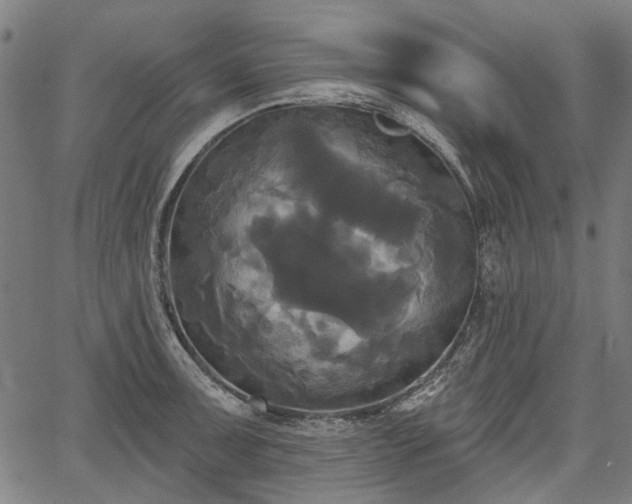 X0000067391091200604031026