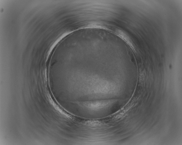 X0000067391092200604031026