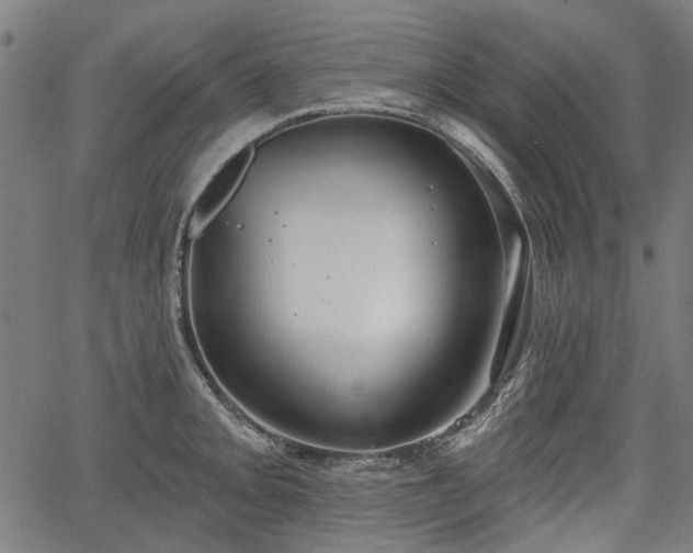 X0000067391093200604031026