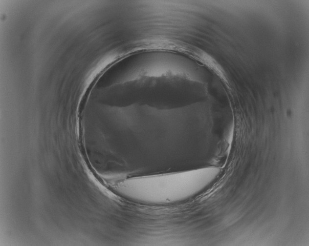 X0000067391095200604031026