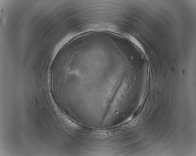 X0000067391096200604031026