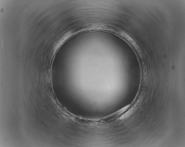 X0000067391097200604031026