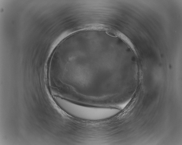 X0000067391099200604031026