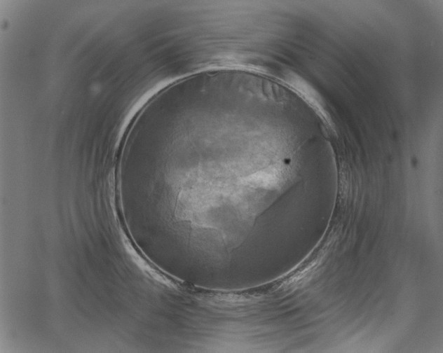 X0000067391100200604031026