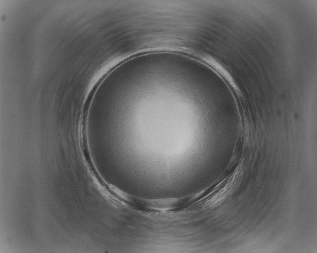 X0000067391101200604031026