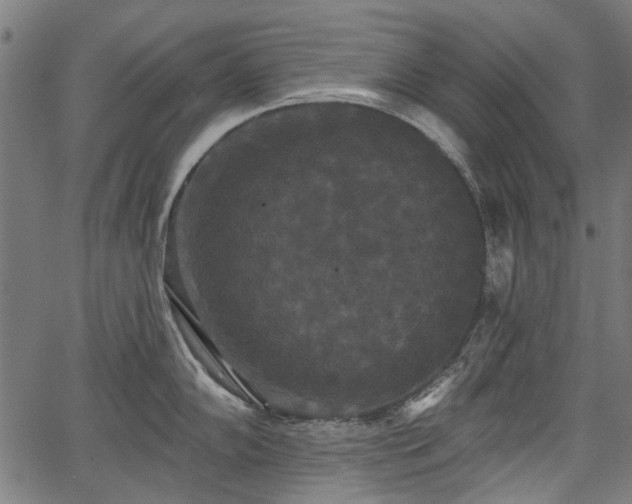 X0000067391102200604031026