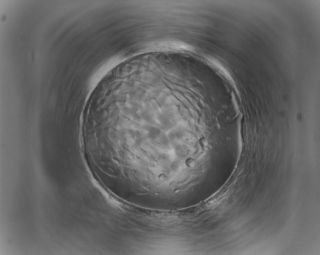 X0000067391103200604031026