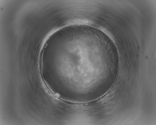 X0000067391104200604031026