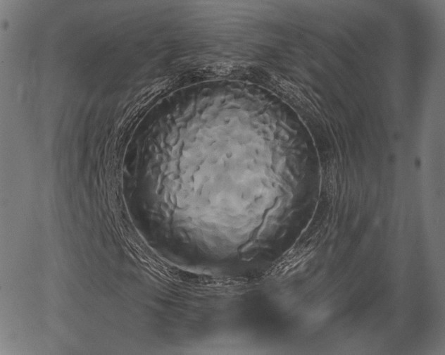 X0000067391105200604031025